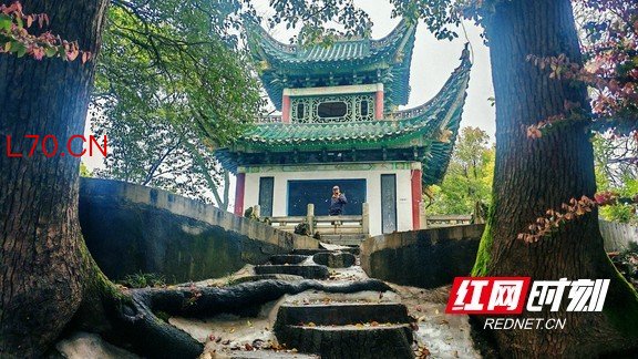 赫山区南站社区：千年书声归邻里，一栋楼装下三代人的精神生活