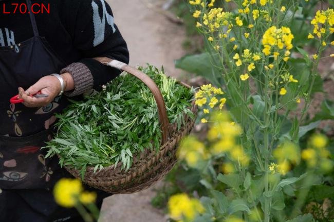 美味野菜有风险，怎样安全吃？指南来了！