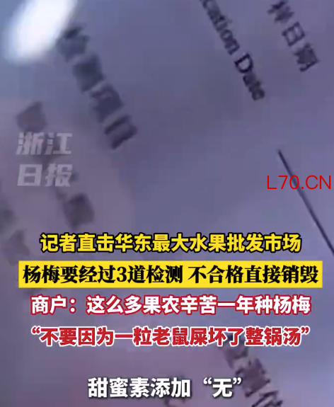商户求助媒体为浙江杨梅正名 称不要因一粒老鼠屎坏了整个杨梅市场