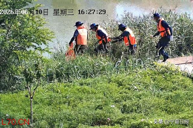 几十米、几秒钟！消防员纵身一跃，救起湖边落水少年