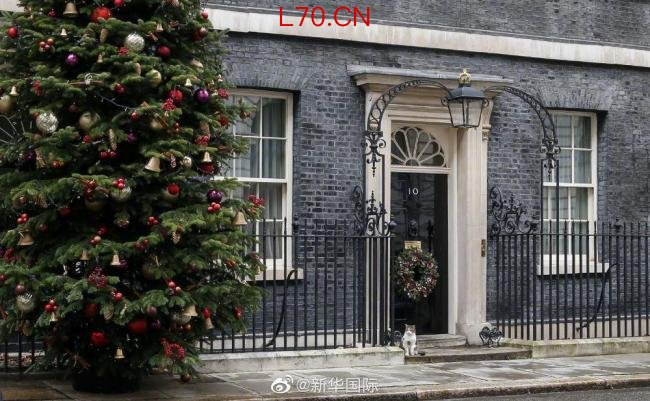 19岁小猫已送走6任英国首相 铁打的拉里见证政坛沉浮