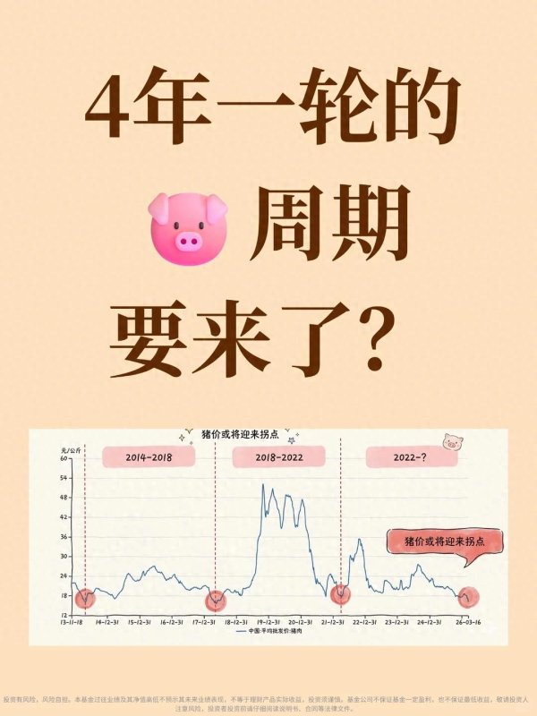 猪价跌得越狠, 机会就越大? 出栏一头亏300元, 这回是真的见底了