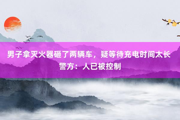 男子拿灭火器砸了两辆车，疑等待充电时间太长 警方：人已被控制