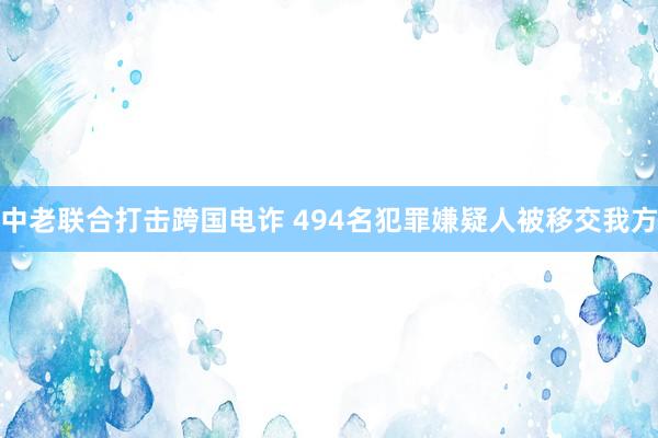 中老联合打击跨国电诈 494名犯罪嫌疑人被移交我方