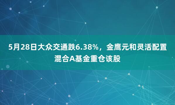 5月28日大众交通跌6.38%,金鹰元和灵活配置混合A基金重仓该股