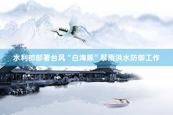 水利部部署台风“白海豚”暴雨洪水防御工作