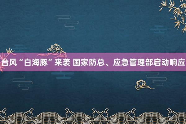 台风“白海豚”来袭 国家防总、应急管理部启动响应
