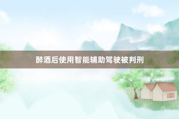 醉酒后使用智能辅助驾驶被判刑