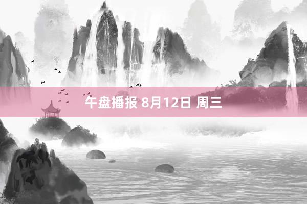 午盘播报 8月12日 周三