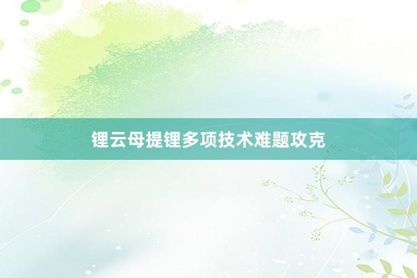 锂云母提锂多项技术难题攻克