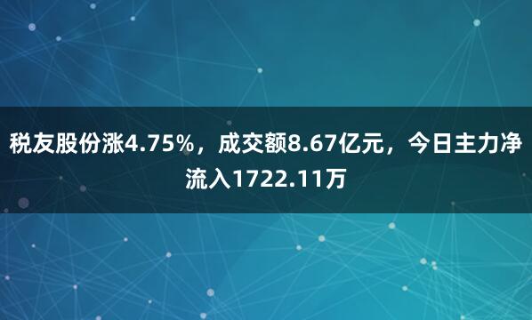 税友股份涨4.75%，成交额8.67亿元，今日主力净流入1722.11万