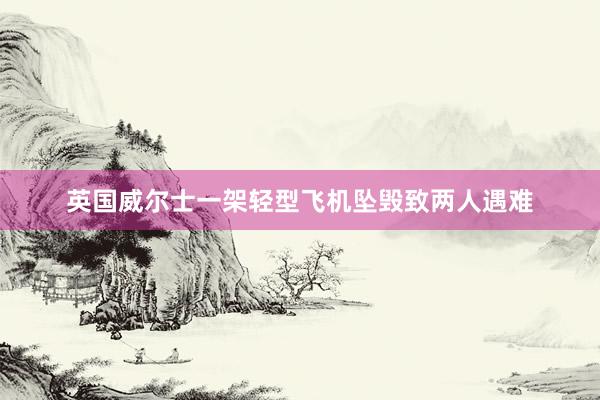英国威尔士一架轻型飞机坠毁致两人遇难