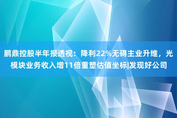 鹏鼎控股半年报透视：降利22%无碍主业升维，光模块业务收入增11倍重塑估值坐标|发现好公司