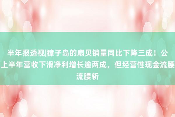 半年报透视|獐子岛的扇贝销量同比下降三成！公司上半年营收下滑净利增长逾两成，但经营性现金流腰斩