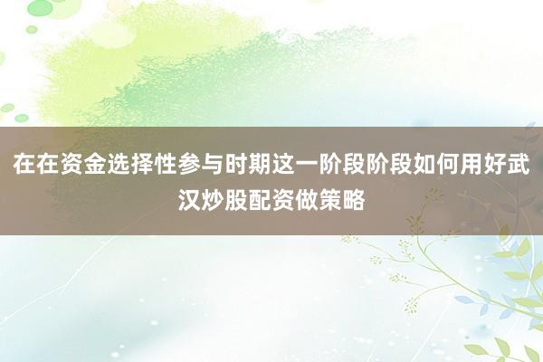 在在资金选择性参与时期这一阶段阶段如何用好武汉炒股配资做策略
