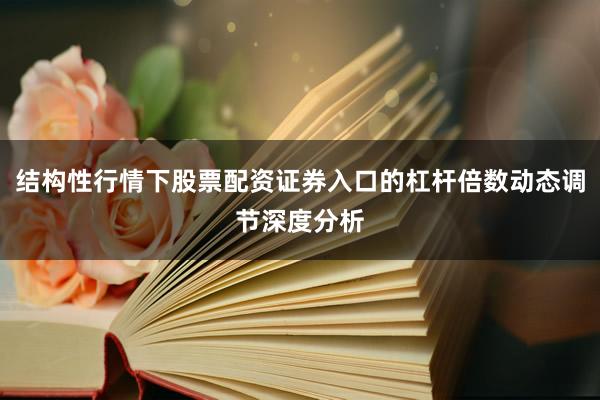 结构性行情下股票配资证券入口的杠杆倍数动态调节深度分析