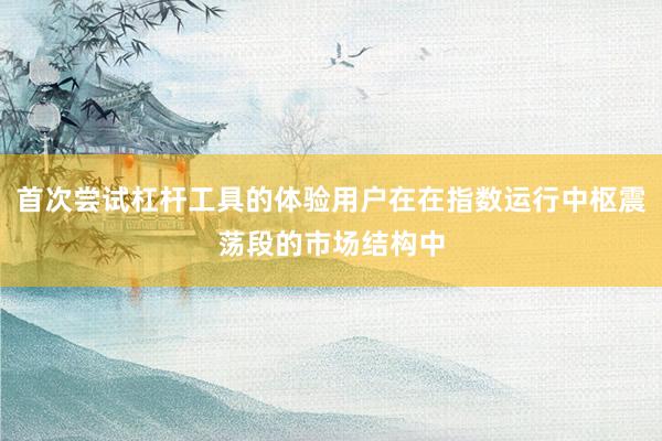 首次尝试杠杆工具的体验用户在在指数运行中枢震荡段的市场结构中