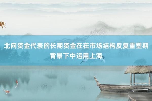 北向资金代表的长期资金在在市场结构反复重塑期背景下中运用上海