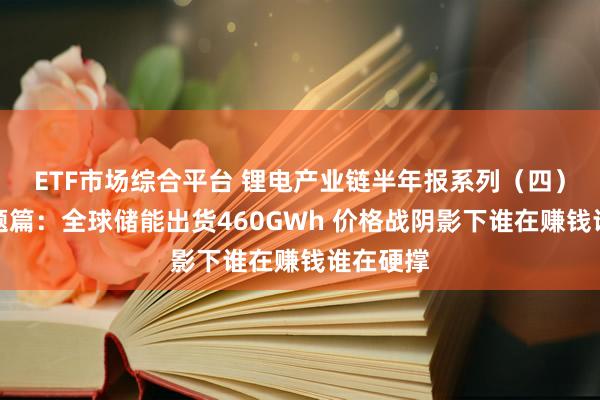ETF市场综合平台 锂电产业链半年报系列（四）储能专题篇：全球储能出货460GWh 价格战阴影下谁在赚钱谁在硬撑