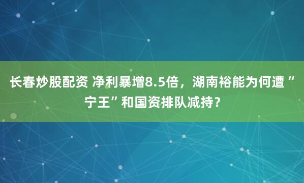 长春炒股配资 净利暴增8.5倍，湖南裕能为何遭“宁王”和国资排队减持？