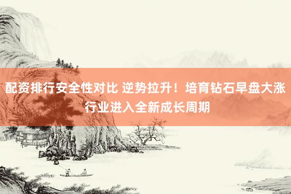配资排行安全性对比 逆势拉升！培育钻石早盘大涨 行业进入全新成长周期