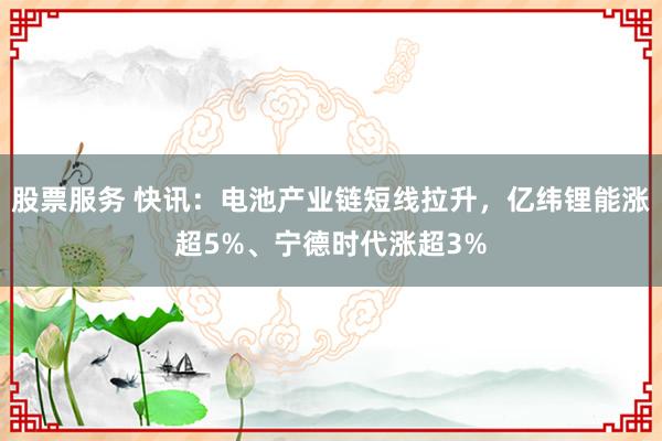 股票服务 快讯：电池产业链短线拉升，亿纬锂能涨超5%、宁德时代涨超3%