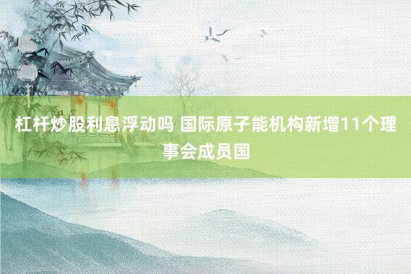 杠杆炒股利息浮动吗 国际原子能机构新增11个理事会成员国