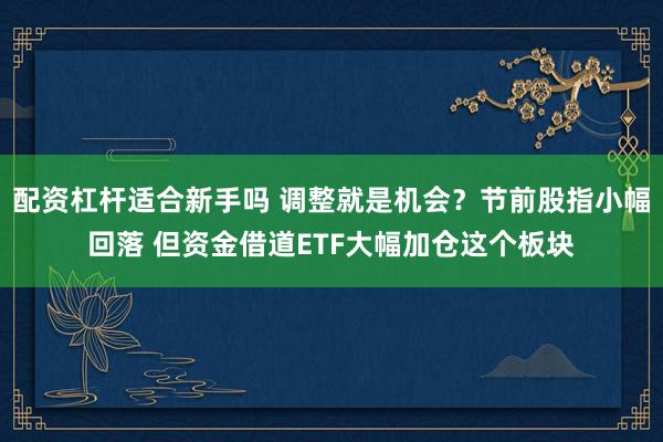 配资杠杆适合新手吗 调整就是机会？节前股指小幅回落 但资金借道ETF大幅加仓这个板块